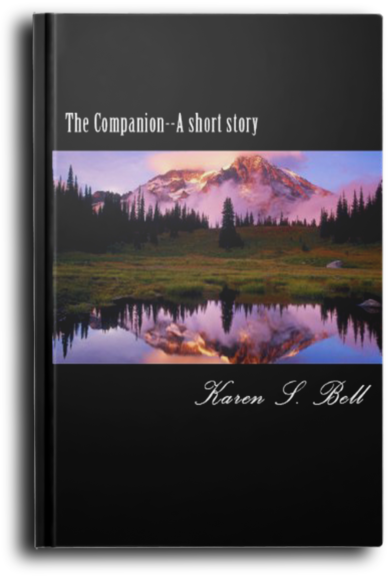 The Companion--A short story